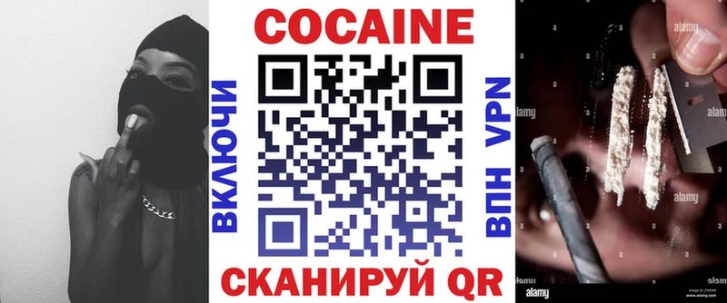 купить   Сольцы  кракен ссылки  Cocaine Fish Scale 