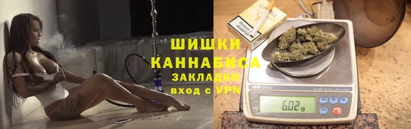 альфа пвп Новокубанск