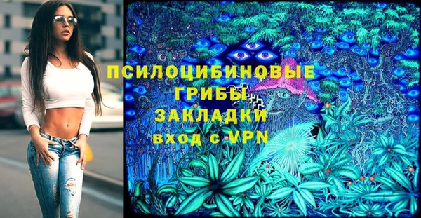 ПСИЛОЦИБИНОВЫЕ ГРИБЫ Алексин