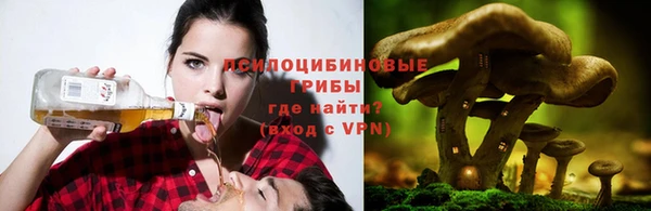 ПСИЛОЦИБИНОВЫЕ ГРИБЫ Алексин