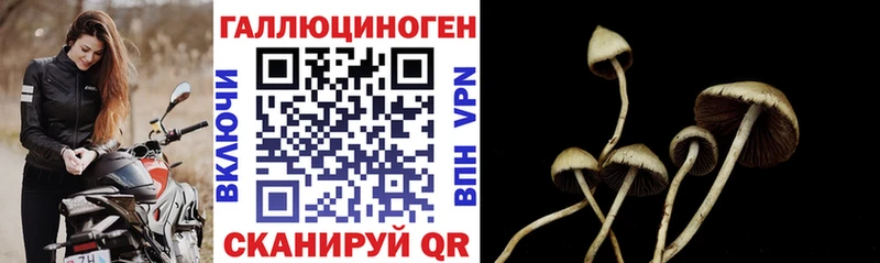 наркошоп  Сольцы  Псилоцибиновые грибы Magic Shrooms 
